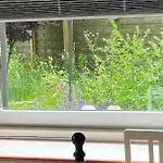 Ubytování v soukromí Gartenzimmer Zwischen Den Meeren Ladelund