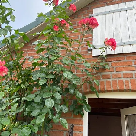 Gartenzimmer Zwischen Den Meeren Quarto em Acomodações Particulares *