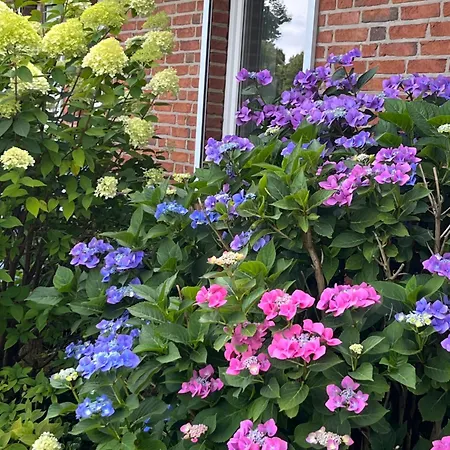 Δωμάτια σε οικογενειακή κατοικία Gartenzimmer Zwischen Den Meeren *