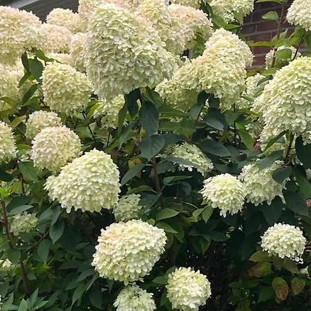Δωμάτια σε οικογενειακή κατοικία Gartenzimmer Zwischen Den Meeren Ladelund
