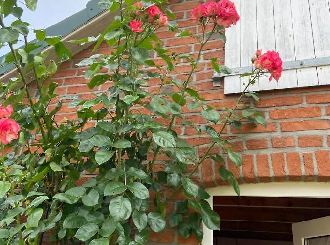 Gartenzimmer Zwischen Den Meeren Quarto em Acomodações Particulares *